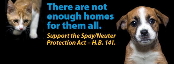 Spay Neuter FB Cover Page